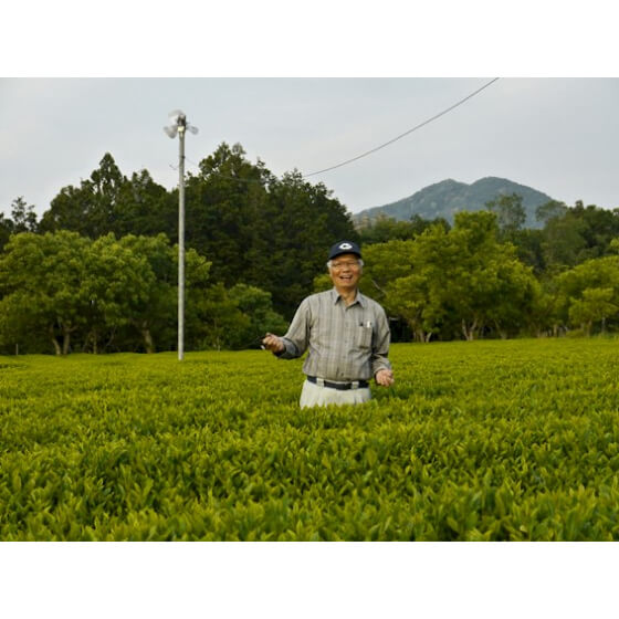 Iwao HAYASHI, der Gründer des Bio-Teegartens