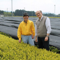 Markus Hastenpflug und Matsuzaki-San auf der Teeplantage in Kagoshima