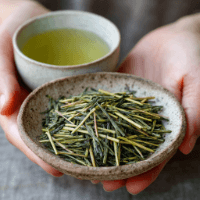 Unser Angebot an original japanischem Kukicha und Karigane bei Japan Tea Shop