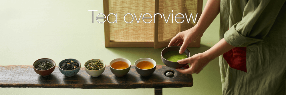 All teas and matcha varieties at a glance